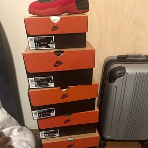 Air Jordan 12 flu game